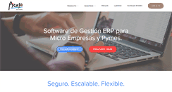 Desktop Screenshot of picasosoftware.com.ar